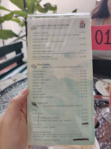 Bolonia - Gastronomía y hostelería