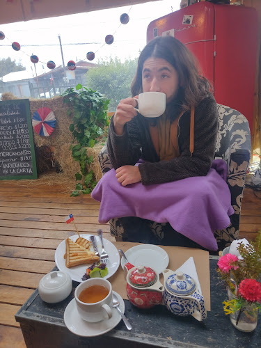 El Gato en Bicicleta Open Times