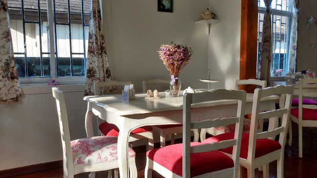 Opinii despre Le Chaton în Osorno - Gastronomía y hostelería