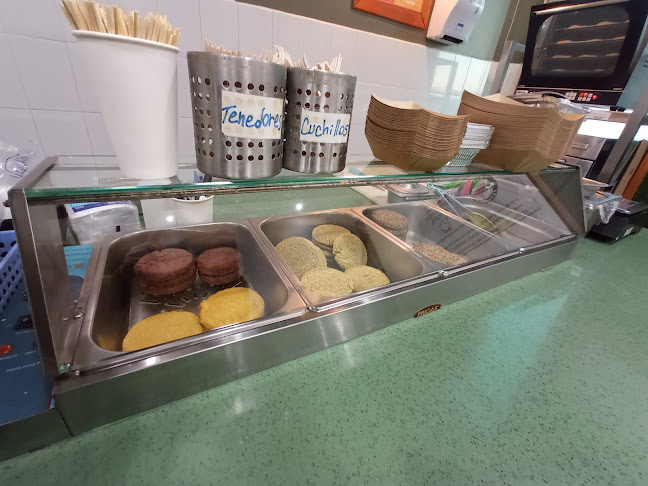 MAMMATERRA - Puerto Montt