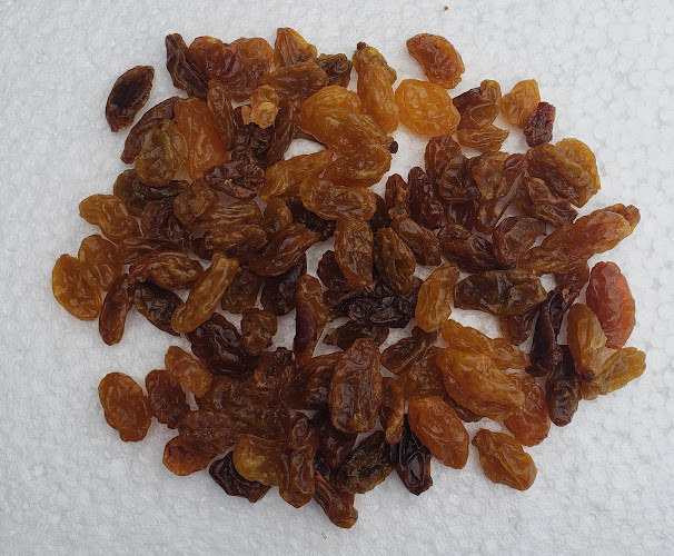 Ruta H-15G , Fundo La Toscana N° 2020, 2900000 Codegua, O'Higgins