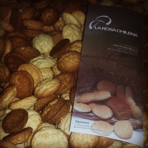 la-rosa-chilena.negocio.site