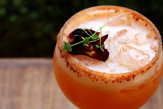 José Domingo Cañas 1917, Ñuñoa, Región Metropolitana