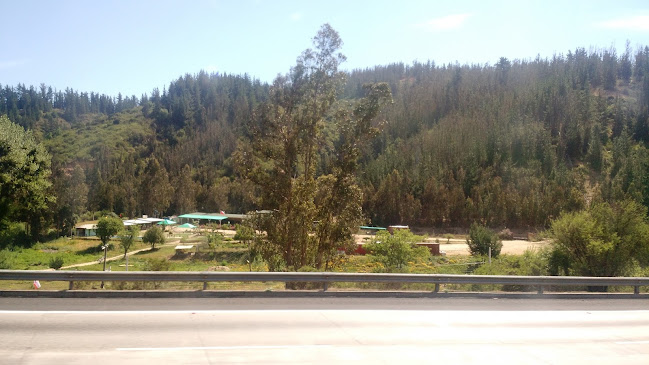 Comments and reviews of Paso La Playa