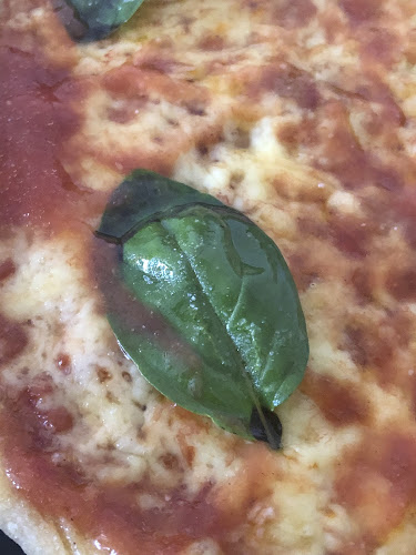 Crucero 2656, 8207161 Puente Alto, Región Metropolitana