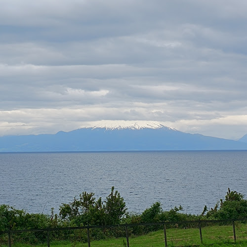 Cerveza 860 - Restaurante y Barra Cervecera - Gastronomía y hostelería