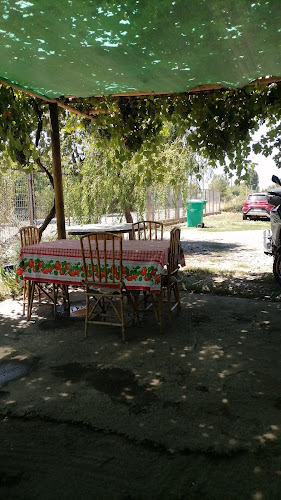 La picá del Pelao - Chillán