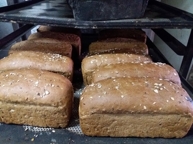 Centro Gastronómico León - Villarrica