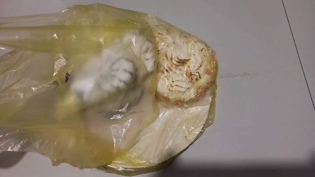 Amasanderia y Pastelería COYHAIQUE