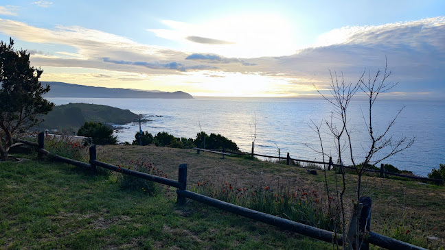 Manantial De Loncoyen - Gastronomía y hostelería
