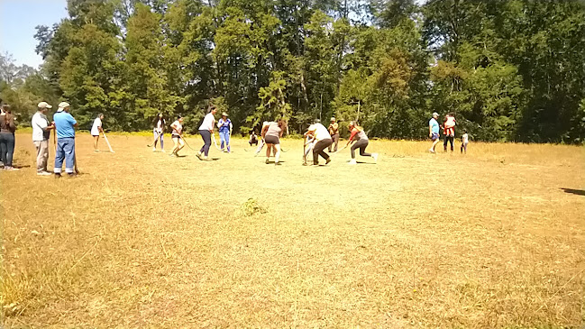 Comentarii opinii despre Restaurante la previa