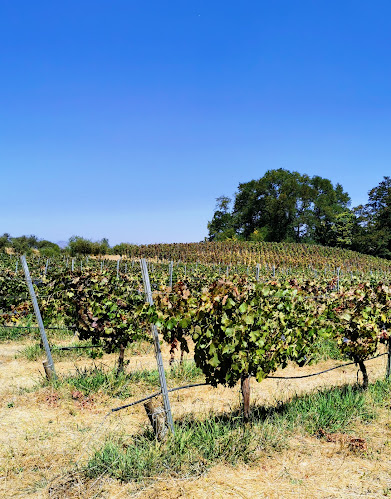 mesondequilvo.negocio.site