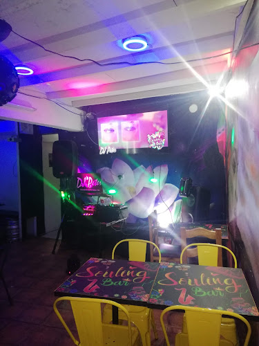 SOULING BAR - Peñalolén