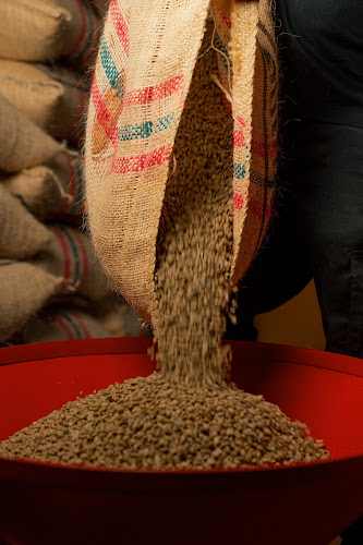 Padre Orellana 1499, 8320000 Santiago, Región Metropolitana