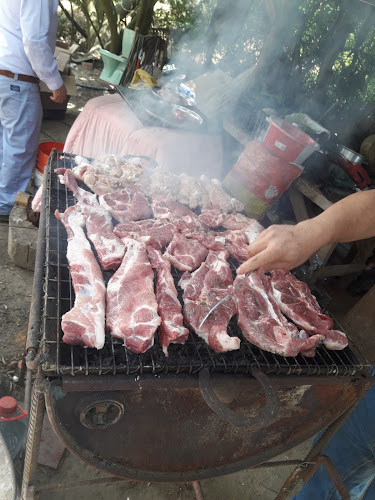 Comentarii opinii despre Bariloche