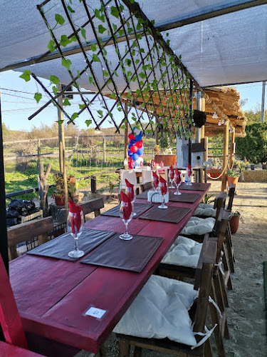 La Chacra Cafetería - Maule