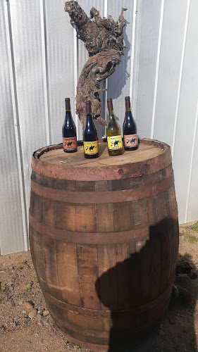 Comments and reviews of Agrícola Veghurt