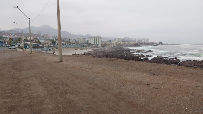 Enigma - Gastronomía y hostelería