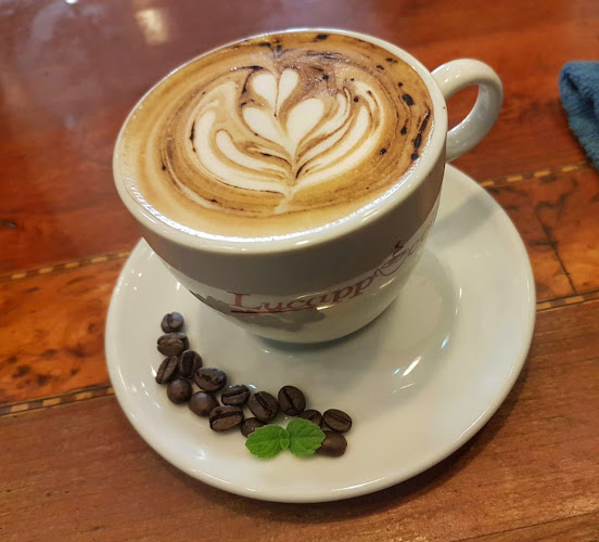 Comentarii opinii despre Pibaz