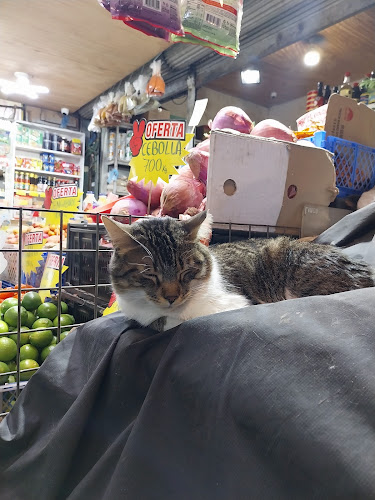 Dávila Baeza 700, Recoleta, Región Metropolitana