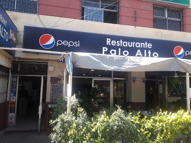 Palo Alto Restaurant