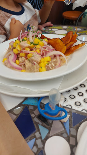 Saelzer 41, 5110208 Valdivia, Los Ríos