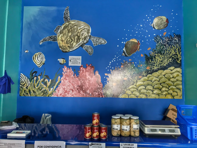 Comentarii opinii despre Terra-Mar Congelados