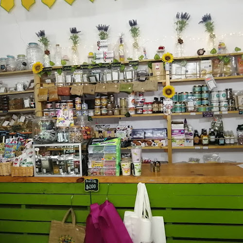 Atacama 149, 1530009 Copiapó, Atacama