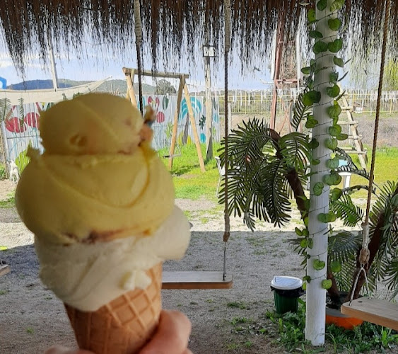 Kocobongo Open Times