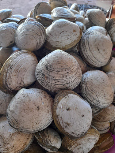 Reviews of Arregla tu caña in Biobío - Gastronomía y hostelería