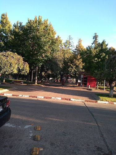 Restaurant TASKA Phone number