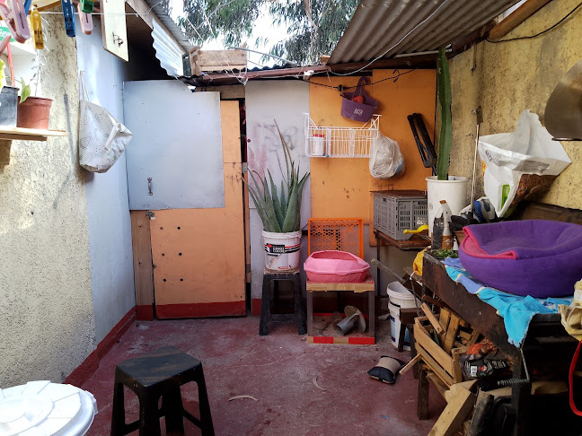 Opinii despre Pastelería Ivis în La Serena - Gastronomía y hostelería