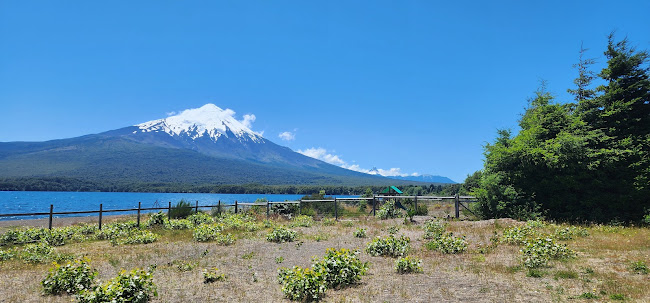 Reviews of Restaurant Rincón de la Ensenada in Ensenada - Gastronomía y hostelería