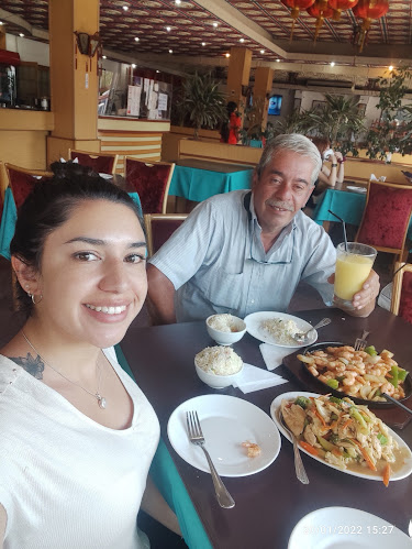 Restaurant Sheng Ping Limitada - Gastronomía y hostelería