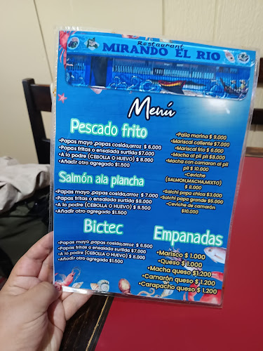 Mirando el rio