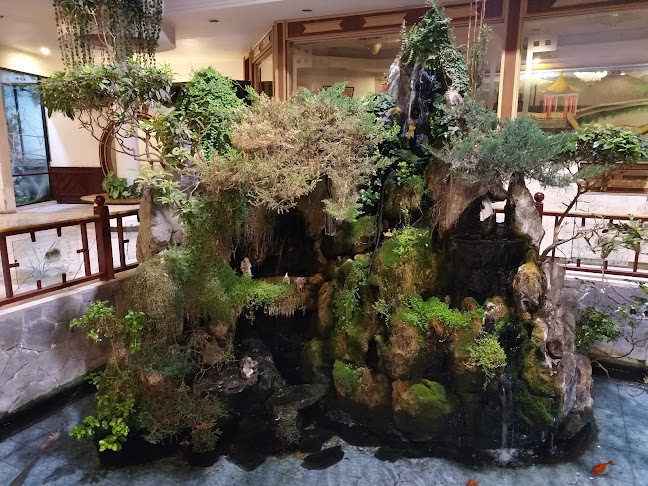 Restaurant Jardín Chino - Gastronomía y hostelería