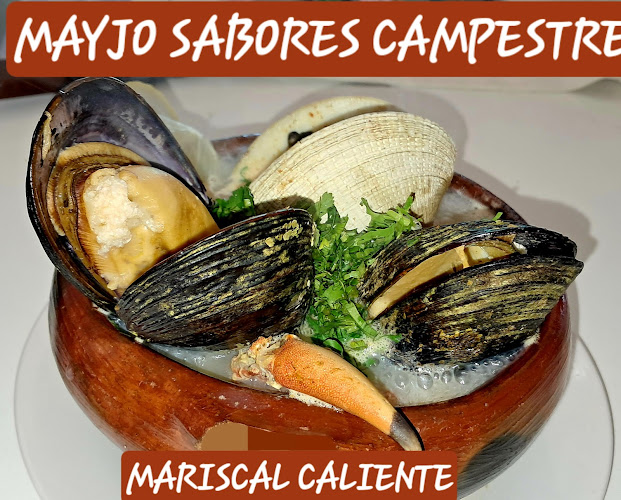 Mayjo sabores campestres - Cauquenes