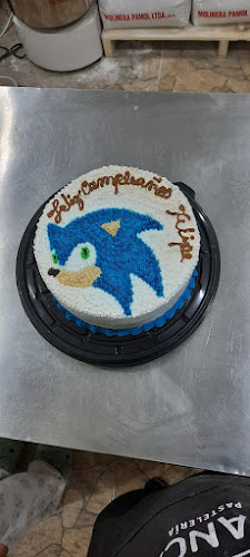 Pje. Puente Cal y Canto 0222, 8150215 La Pintana, Región Metropolitana