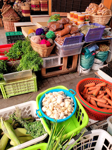 Mercado Municipal De Castro - Gastronomía y hostelería