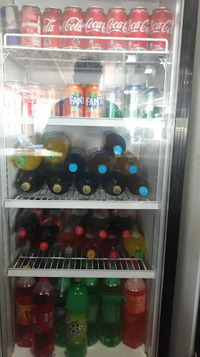 Comentarii opinii despre Desierto Florido Atacama