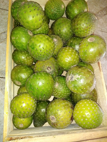 JUGUERIA & sandwicheria DELIFRUT