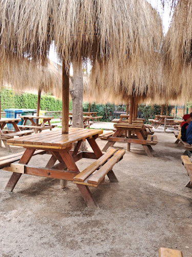 Andalién 7330, 8270698 La Florida, Región Metropolitana