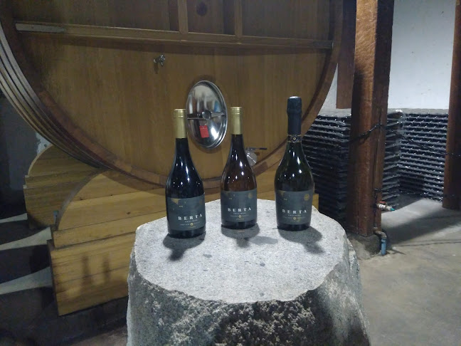 Viña Santa Berta - Santa Ana