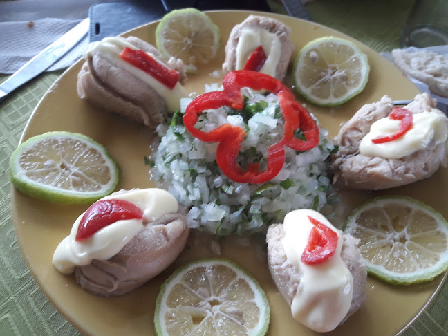 Carrizal Bajo - Vallenar