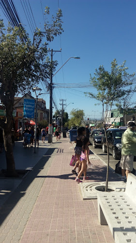 Helados Frizelli - Gastronomía y hostelería