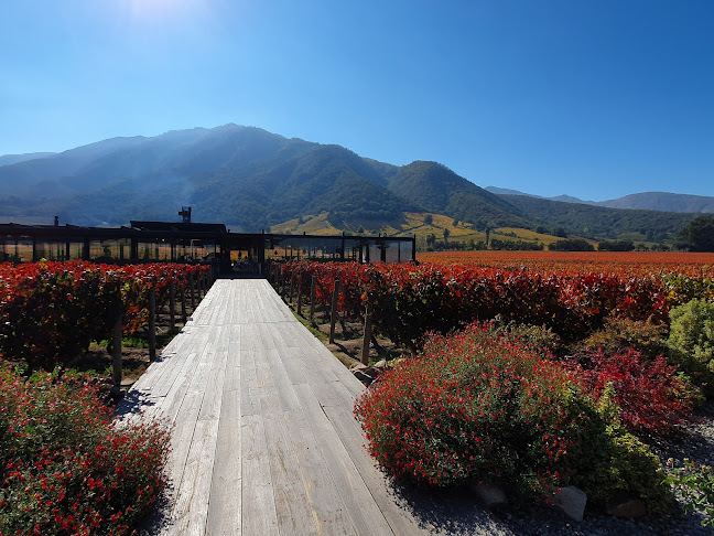 I-350, Santa Cruz, O'Higgins