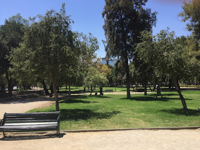 Café Literario Balmaceda