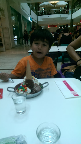 Comercial Delinuts SpA - Santiago