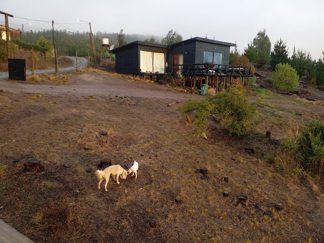 Comments and reviews of RESTAURANT PAPIRÚA y CABAÑAS ROBLE ETERNO