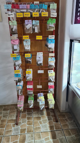 Opinii despre Marixel® în Pichilemu - Gastronomía y hostelería